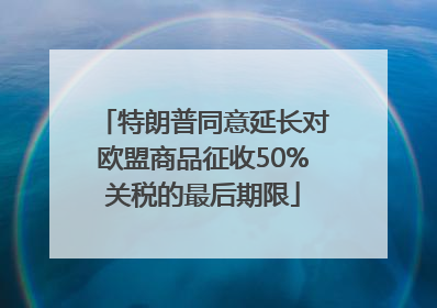 特朗普同意延长对欧盟商品征收50%关税的最后期限