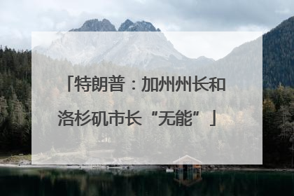 特朗普：加州州长和洛杉矶市长“无能”
