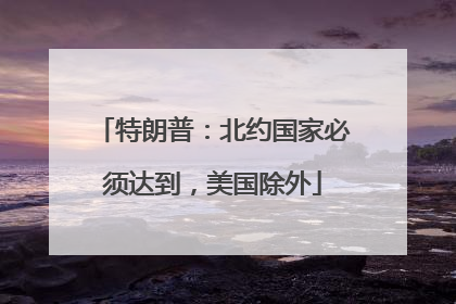 特朗普：北约国家必须达到，美国除外