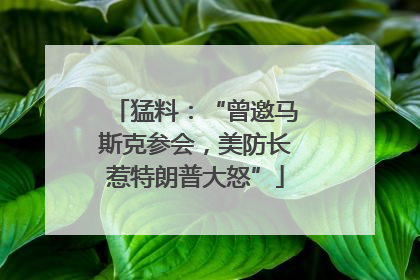 猛料：“曾邀马斯克参会，美防长惹特朗普大怒”