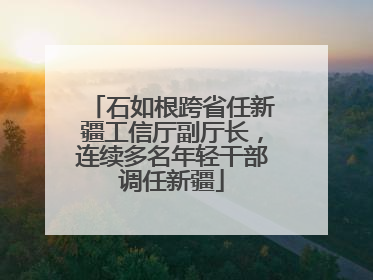 石如根跨省任新疆工信厅副厅长，连续多名年轻干部调任新疆