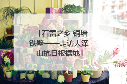 石雷之乡 铜墙铁壁——走访大泽山抗日根据地