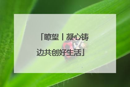 瞭望丨凝心铸边共创好生活