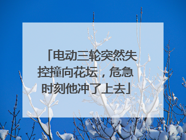 电动三轮突然失控撞向花坛，危急时刻他冲了上去