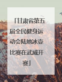 甘肃省第五届全民健身运动会陆地冰壶比赛在武威开赛