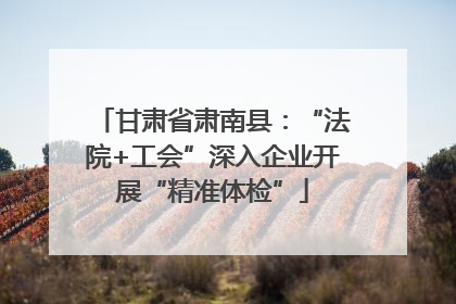 甘肃省肃南县：“法院+工会”深入企业开展“精准体检”
