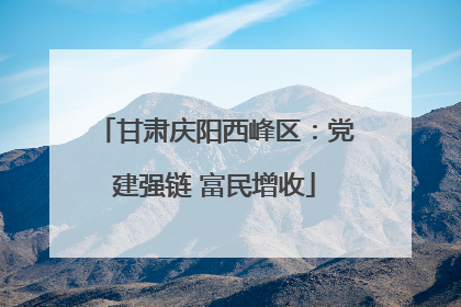 甘肃庆阳西峰区：党建强链 富民增收