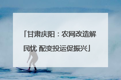 甘肃庆阳：农网改造解民忧 配变投运促振兴