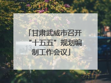 甘肃武威市召开“十五五”规划编制工作会议