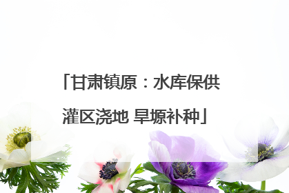 甘肃镇原：水库保供 灌区浇地 旱塬补种
