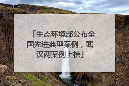 生态环境部公布全国先进典型案例，武汉两案例上榜