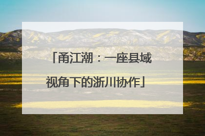 甬江潮：一座县域视角下的浙川协作