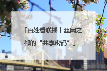 百姓看联播丨丝网之都的“共享密码”
