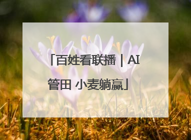 百姓看联播｜AI管田 小麦躺赢