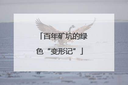 百年矿坑的绿色“变形记”