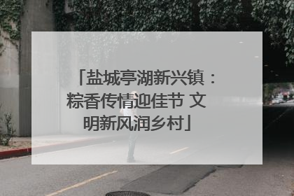 盐城亭湖新兴镇：粽香传情迎佳节 文明新风润乡村