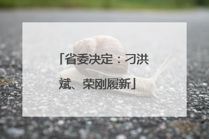 省委决定：刁洪斌、荣刚履新