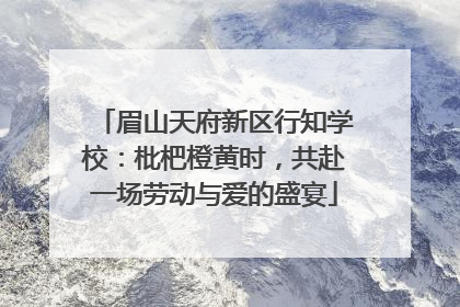 眉山天府新区行知学校：枇杷橙黄时，共赴一场劳动与爱的盛宴