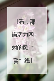 看，那道活力四射的风“警”线