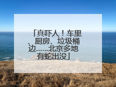 真吓人！车里、厨房、垃圾桶边……北京多地有蛇出没