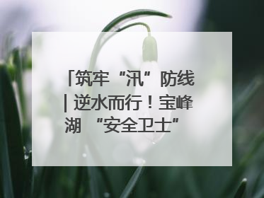 筑牢“汛”防线｜逆水而行！宝峰湖 “安全卫士” 出鞘 防汛应急再添硬核力量