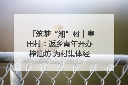 筑梦“湘”村｜皇田村：返乡青年开办榨油坊 为村集体经济“加油”