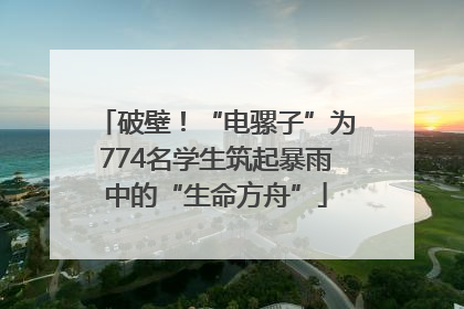 破壁！“电骡子”为774名学生筑起暴雨中的“生命方舟”