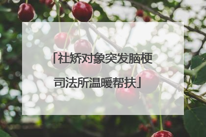 社矫对象突发脑梗 司法所温暖帮扶