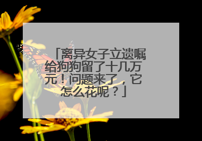 离异女子立遗嘱给狗狗留了十几万元！问题来了，它怎么花呢？