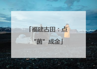 福建古田：点“菌”成金