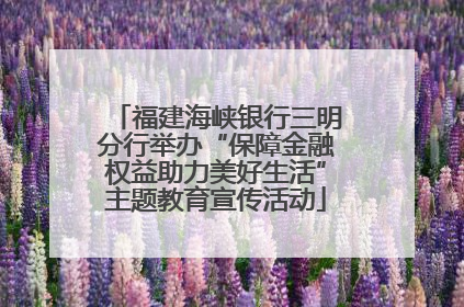 福建海峡银行三明分行举办“保障金融权益助力美好生活”主题教育宣传活动