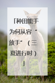种田能手为何从容“放手”（三夏进行时）