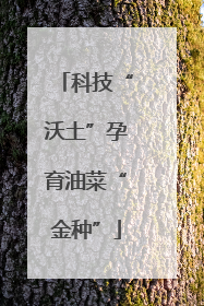 科技“沃土”孕育油菜“金种”