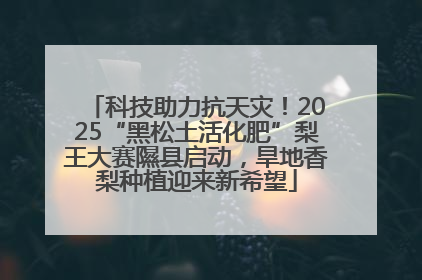 科技助力抗天灾！2025“黑松土活化肥”梨王大赛隰县启动，旱地香梨种植迎来新希望