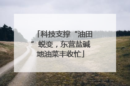 科技支撑“油田”蜕变，东营盐碱地油菜丰收忙