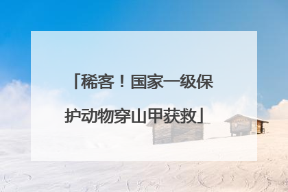 稀客！国家一级保护动物穿山甲获救