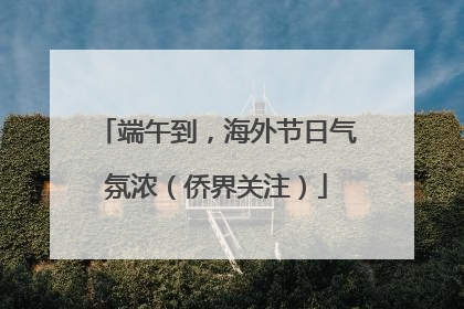 端午到，海外节日气氛浓（侨界关注）