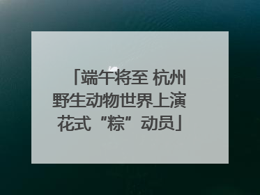 端午将至 杭州野生动物世界上演花式“粽”动员