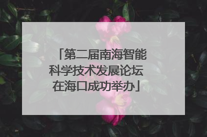 第二届南海智能科学技术发展论坛在海口成功举办