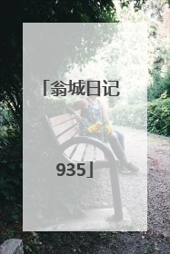 翁城日记 935