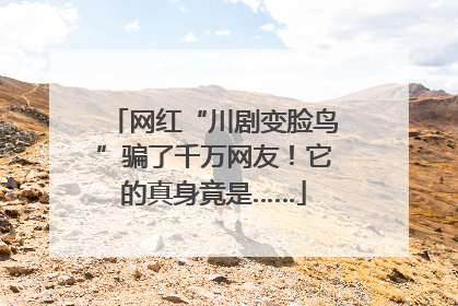 网红“川剧变脸鸟”骗了千万网友！它的真身竟是……