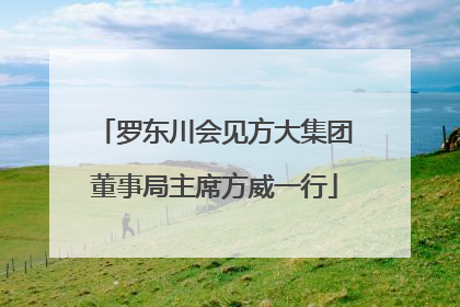 罗东川会见方大集团董事局主席方威一行