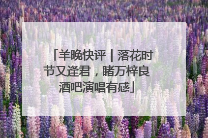 羊晚快评｜落花时节又逢君，睹万梓良酒吧演唱有感