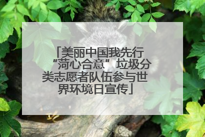 美丽中国我先行 “菏心合意”垃圾分类志愿者队伍参与世界环境日宣传