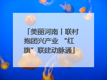 美丽河南丨联村抱团兴产业 “红旗”联建动脉通