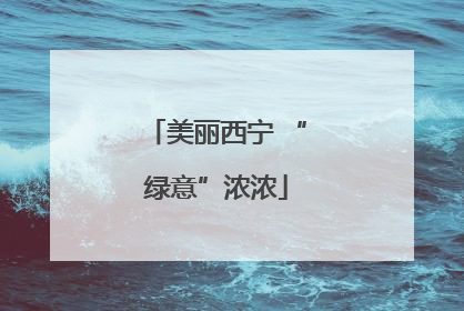 美丽西宁 “绿意”浓浓