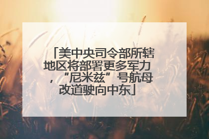 美中央司令部所辖地区将部署更多军力，“尼米兹”号航母改道驶向中东