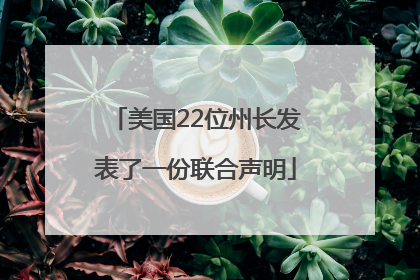 美国22位州长发表了一份联合声明