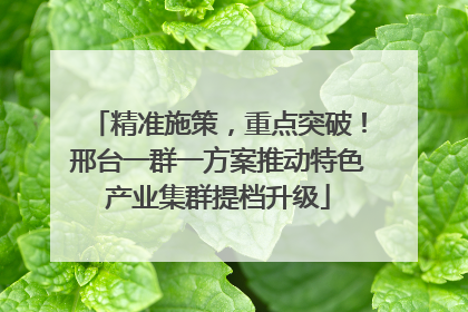 精准施策，重点突破！邢台一群一方案推动特色产业集群提档升级