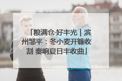 粮满仓·好丰光｜滨州邹平：冬小麦开镰收割 奏响夏日丰收曲